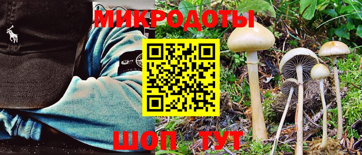 Мурманск  Галлюциногенные грибы MAGIC MUSHROOMS  Вход с VPN 